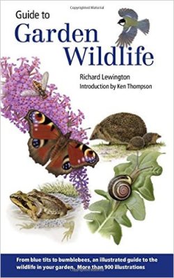 Guide to Garden Wildlife by Richard Lewington