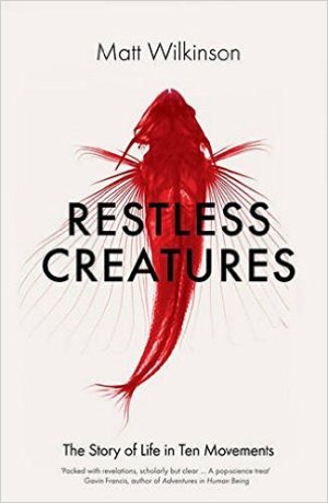restless-creatures-by-matt-wilkinson